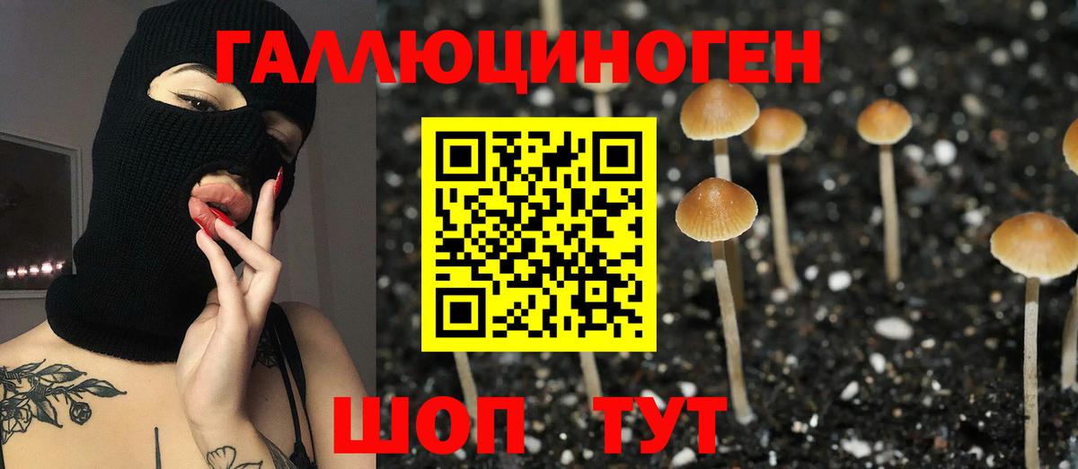 Галлюциногенные грибы мухоморы Моздок